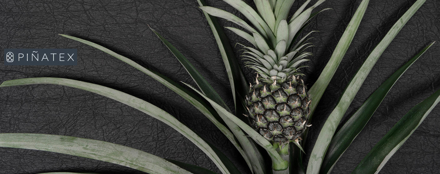 Pinatex is a leather made out of pineapple leaves which is invented by Ananas Anam. The photograph shows the fruit and leather