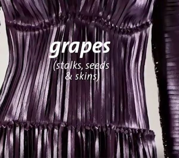 A womenswear dress made out of grapes